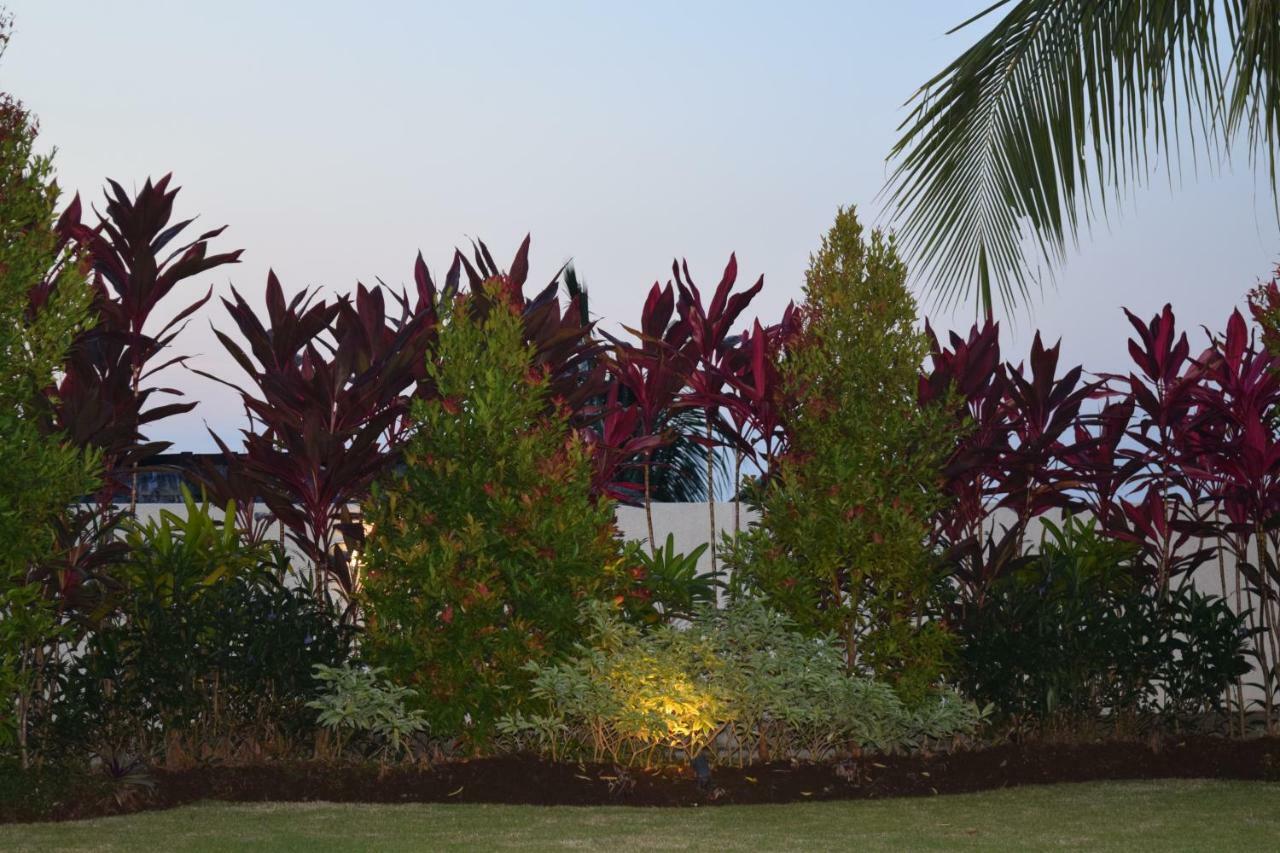 Villa Putih Lovina  Ngoại thất bức ảnh
