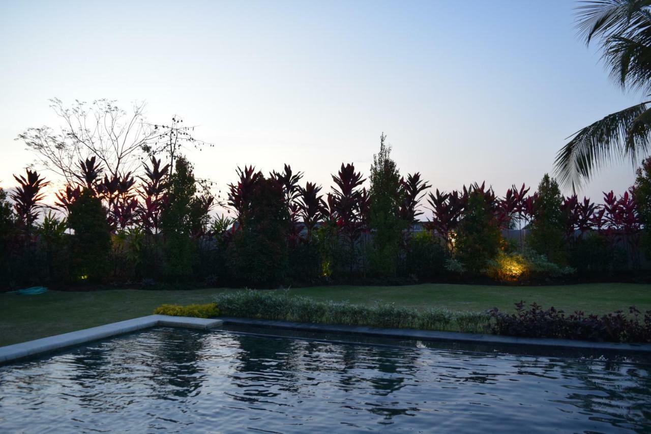 Villa Putih Lovina  Ngoại thất bức ảnh